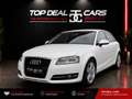 Audi A3 Ambiente 1,6 TDI DPF Weiß - thumbnail 1