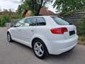 Audi A3 Ambiente 1,6 TDI DPF Weiß - thumbnail 3