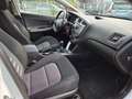 Kia Ceed SW / cee'd SW FIFA World Cup Edition Blanc - thumbnail 14