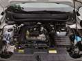 Volkswagen T-Cross Life 1.0 TSI L+S/SHZ KLIMA ALU Weiß - thumbnail 20