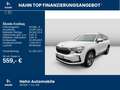 Skoda Kodiaq 2.0TDI DSG 4x4 Selection Pano Matrix AHK Weiß - thumbnail 2