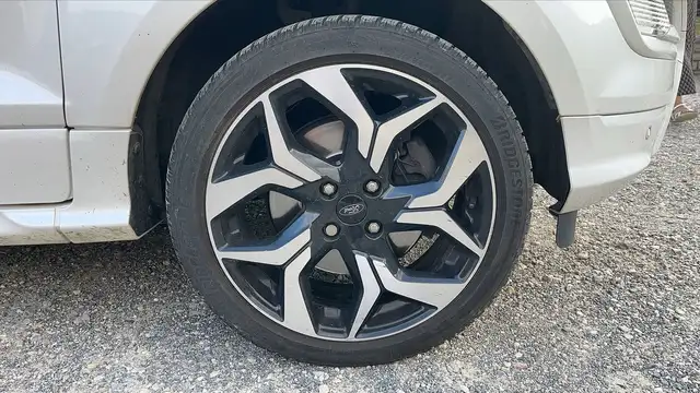 Ford Ecosport view 17