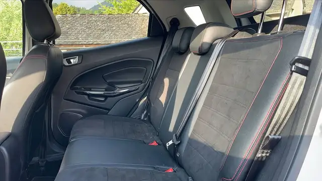 Ford Ecosport view 9