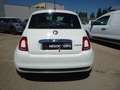 Fiat 500 Club Blanc - thumbnail 3