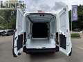 Ford Transit Trend 350 L3H2 170 Automaat Blanc - thumbnail 15