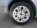 Ford EcoSport 1.5 TDCi 95 CV Business Grigio - thumbnail 9
