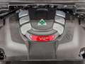Alfa Romeo Stelvio QUADRIFOGLIO VERDE AKRAPOVIC Technologie-Paket ... Rot - thumbnail 31