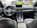Mazda CX-5 CD184 Skyactive D AWD Homura Aut. Rot - thumbnail 12