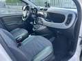 Fiat Panda 1.3 MJT 95 CV S&S 4x4 Bianco - thumbnail 21