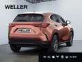 Lexus E-FOUR Executive Line *360*HUD*Navi*LED* Rood - thumbnail 24