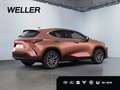 Lexus E-FOUR Executive Line *360*HUD*Navi*LED* Червоний - thumbnail 21