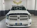 Dodge RAM Double cab Bianco - thumbnail 1
