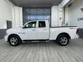 Dodge RAM Double cab Bianco - thumbnail 2