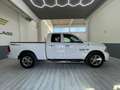 Dodge RAM Double cab Bianco - thumbnail 9