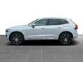 Volvo XC60 T8 AWD INSCRIPTION HYBRID SELEKT Weiß - thumbnail 4