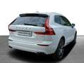 Volvo XC60 T8 AWD INSCRIPTION HYBRID SELEKT Weiß - thumbnail 3