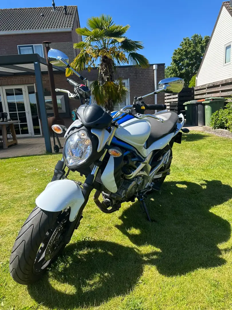Suzuki Gladius 650 Naked Bike Alb - 1