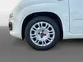 Fiat Panda 1.0 FireFly S&S Hybrid Blanco - thumbnail 10