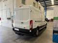 Ford Transit 350 96kW L3H2 Van Trend FWD MHEV Blanco - thumbnail 6