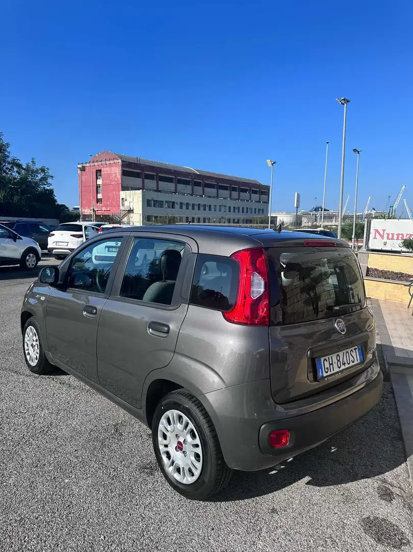Fiat Panda 1.0 FireFly S&S Hybrid Grigio - 2