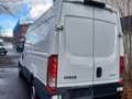 Iveco Daily 35 C 15 / 2.3 Weiß - thumbnail 3