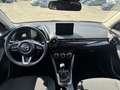 Mazda 2 Mazda2 Skyactiv G75 Homura Beige - thumbnail 7