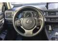 Lexus CT 200h Executive Rojo - thumbnail 45