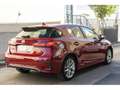Lexus CT 200h Executive Rojo - thumbnail 37