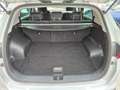 Kia Sportage 1.6 CRDI 116CV Gris - thumbnail 23