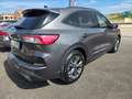Ford Kuga Kuga III 2020 1.5 ecoblue ST-Line X 2wd 120cv Grigio - thumbnail 4