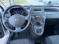 Fiat Panda Panda 1.2 4x4 Climbing Grigio - thumbnail 13