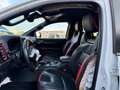 Ford Ranger Raptor V6 3.0 e-4WD Doppelkabine Weiß - thumbnail 11