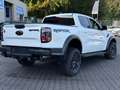 Ford Ranger Raptor V6 3.0 e-4WD Doppelkabine Weiß - thumbnail 8
