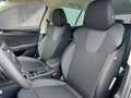 Skoda Octavia Selection TDI DSG Grau - thumbnail 12