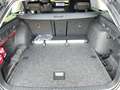 Skoda Octavia Selection TDI DSG Grau - thumbnail 14