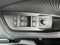Skoda Octavia Selection TDI DSG Grau - thumbnail 18