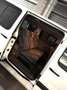 Fiat Scudo Scudo 2.0 MJT/136 DPF PL Panorama Family 5 post Blanco - thumbnail 5
