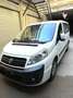 Fiat Scudo Scudo 2.0 MJT/136 DPF PL Panorama Family 5 post Blanco - thumbnail 1