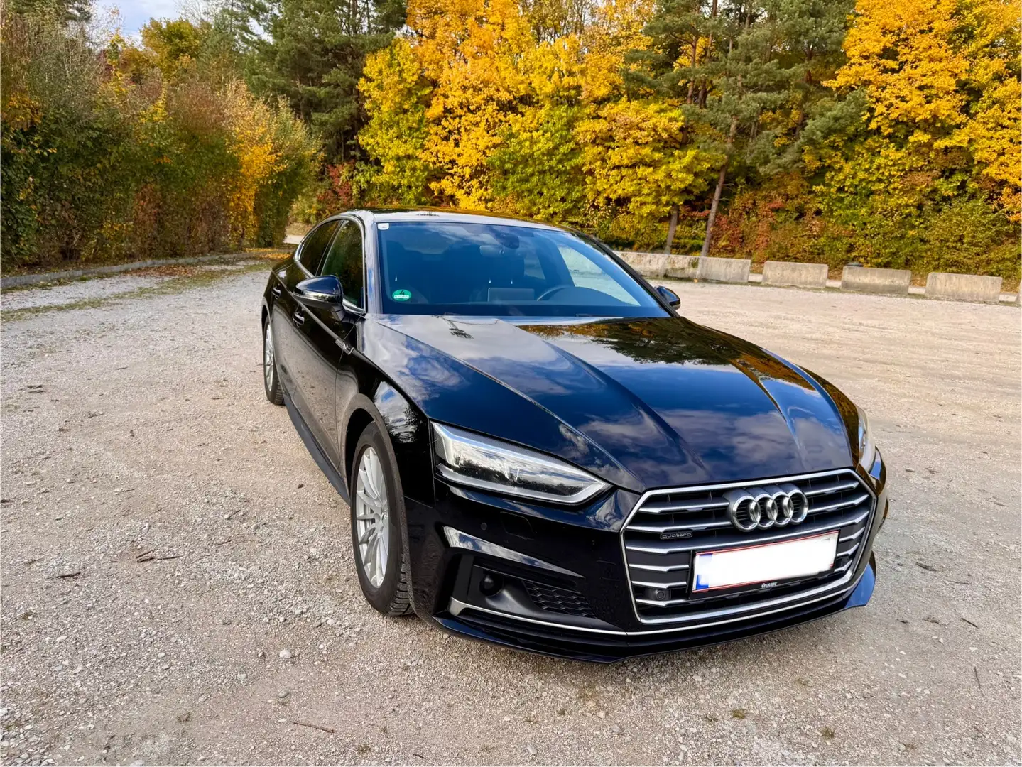 Audi A5 SB 3,0 TDI quattro sport tiptronic Schwarz - 2