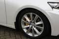 Lexus IS 300 300h Hybrid Sport Edition I Multi Led I Navi I Cam Weiß - thumbnail 13