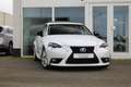 Lexus IS 300 300h Hybrid Sport Edition I Multi Led I Navi I Cam Weiß - thumbnail 5