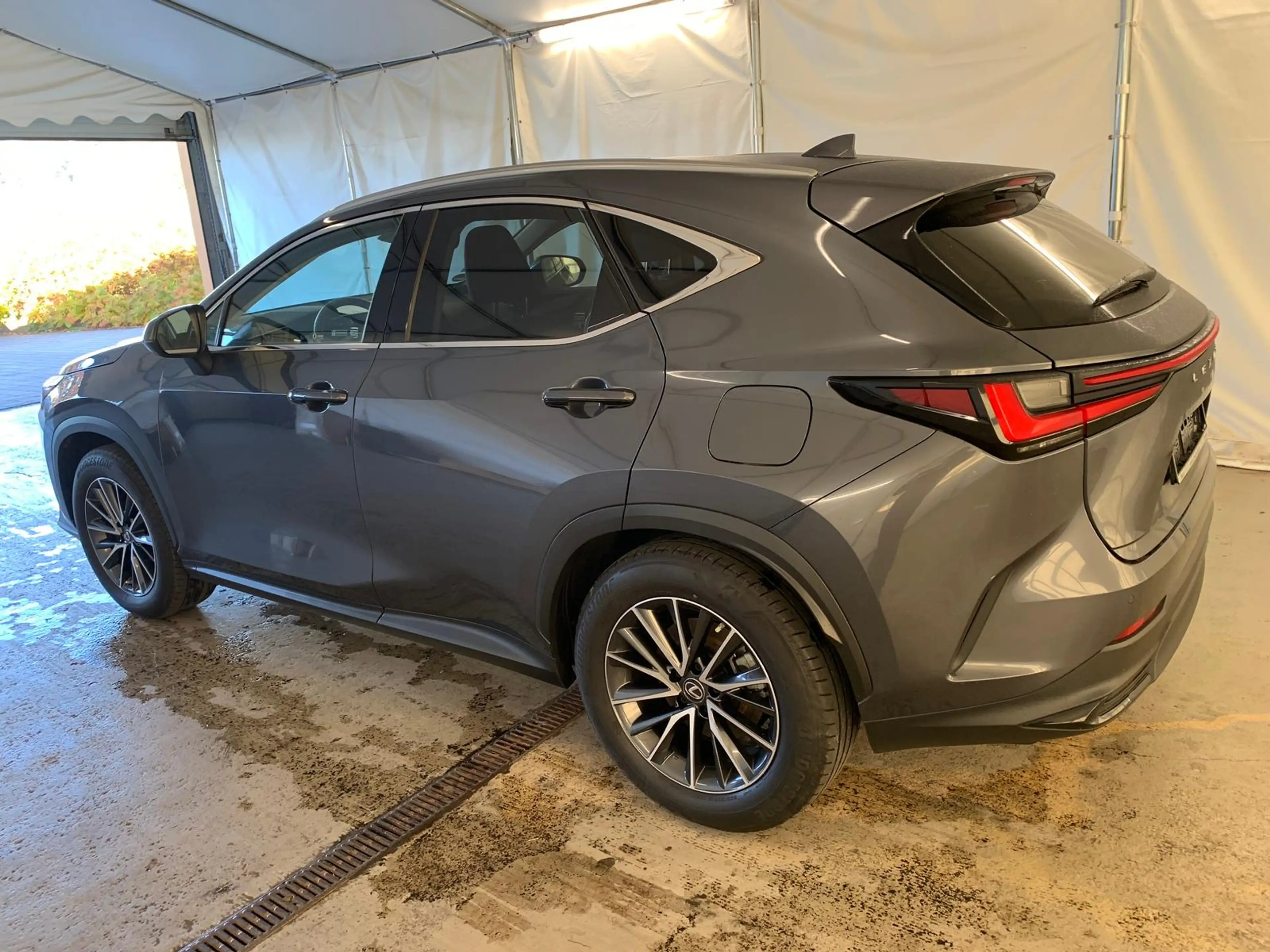 Lexus NX 350h NX 350 h BUSINESS ACC/LED/AHK/PDC/DIGITAL-COCK — photo 6