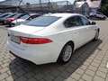 Jaguar XF 20d Prestige Aut. Weiß - thumbnail 5