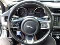 Jaguar XF 20d Prestige Aut. Weiß - thumbnail 14