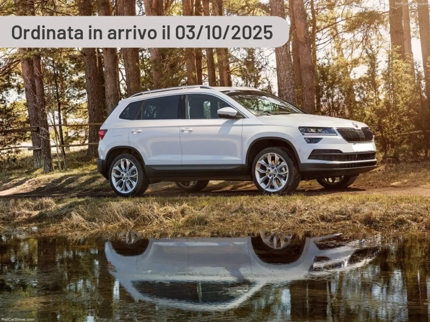 Skoda Karoq 2.0 TDI EVO SCR 4x4 DSG Selection Argento - 2