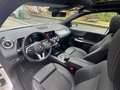 Mercedes-Benz B 180 Sport Plus B 180 D Bianco - thumbnail 15