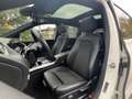Mercedes-Benz B 180 Sport Plus B 180 D Weiß - thumbnail 16