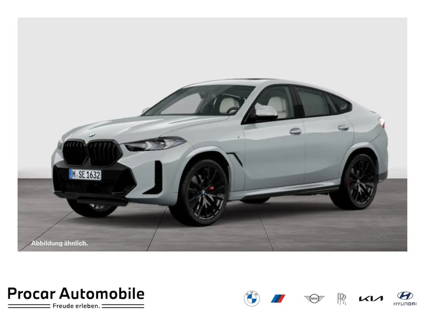 BMW X6 xDrive30d M Sport HUD PANO RFK NAVI Standh. LED Grau - 1