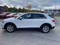 Audi Q3 35  2,0 TDI Automatik/Navi/Klima/ACC/LED/AHK Weiß - thumbnail 6
