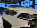 Kia Ceed / cee'd Sportswagon Plug-in Hybrid Platinum Edition 1.6 EU Wit - thumbnail 14